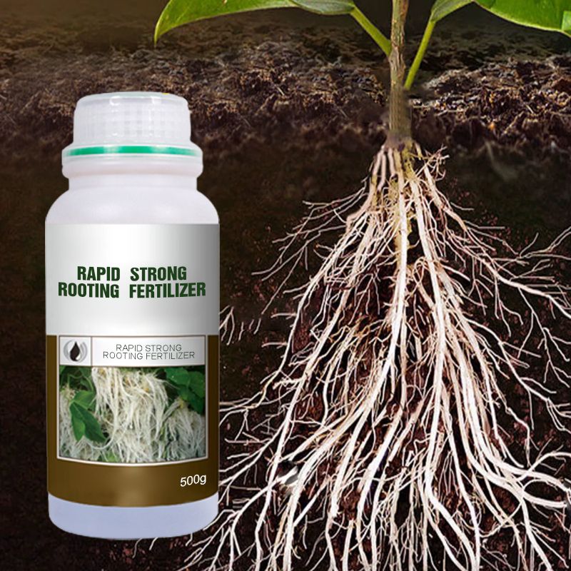 Rapid Strong Rooting Fertilizer – munichsunny