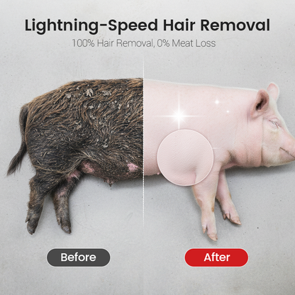 Labor-Saving Pig Hair Remover Scraper Disc
