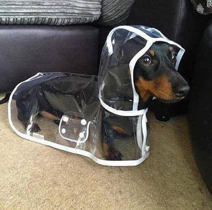 Transparent Raincoat For Dog
