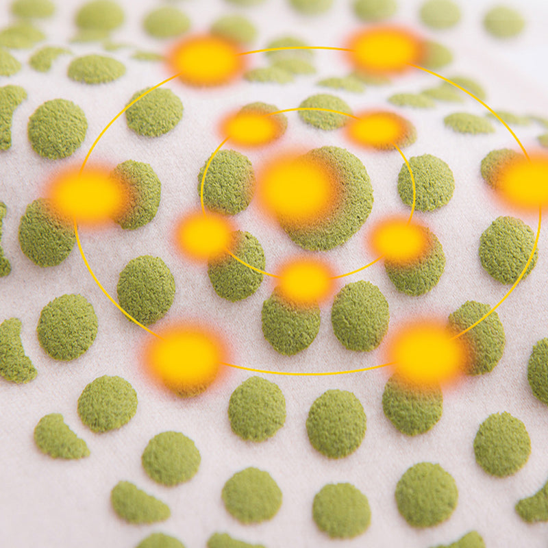 🦵 BUY 1 GET 1 FREE! ❄️ Women's Winter Waist Protector - High-Stretch & Warm, Seamless Design for All-Day Comfort Under Clothing 💃📦