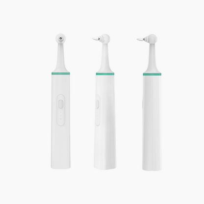 3-Speed Electric Tooth Polisher with 4 Replacement Head