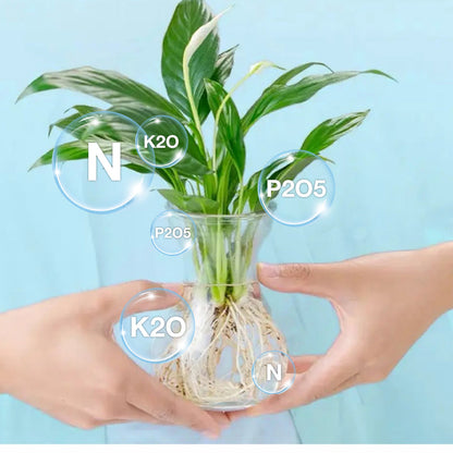 Hydroponic Nutrient Solution For Plant Growth
