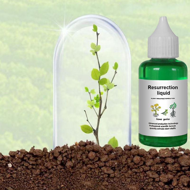 🔥Recommended by professionals👉A must-have for flower lovers 💥 Plant and Flower Revitalizing Solution 🎉
