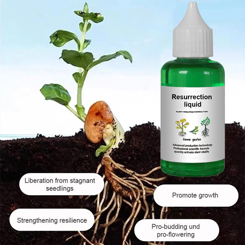 🔥Recommended by professionals👉A must-have for flower lovers 💥 Plant and Flower Revitalizing Solution 🎉
