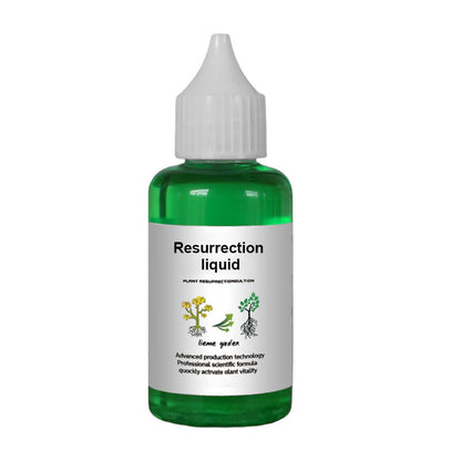 🔥Recommended by professionals👉A must-have for flower lovers 💥 Plant and Flower Revitalizing Solution 🎉