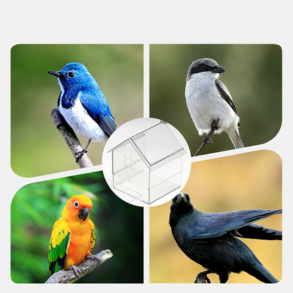 🔥HOT SALE (36% OFF)🔥Pull-Out External Parrot Feeder