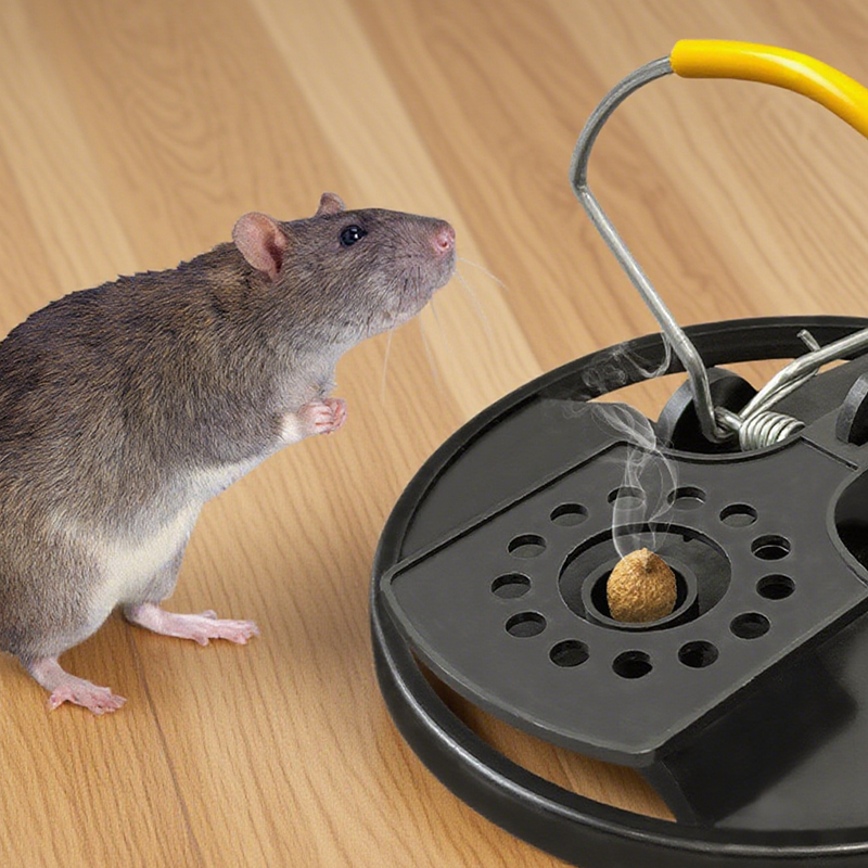 Heavy-Duty Effective Mouse Trap for Home