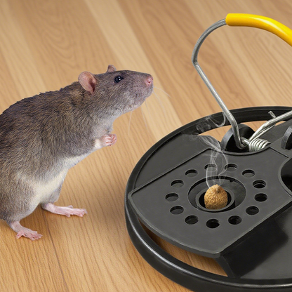 Heavy-Duty Effective Mouse Trap for Home