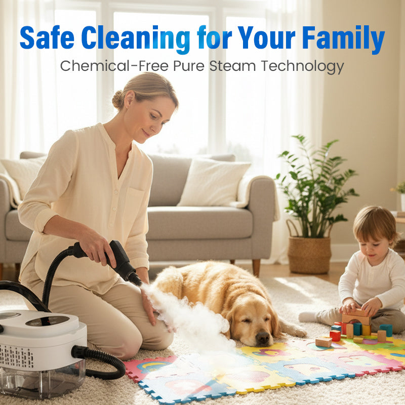 Multifunctional High-Temperature Steam Cleaner for Home
