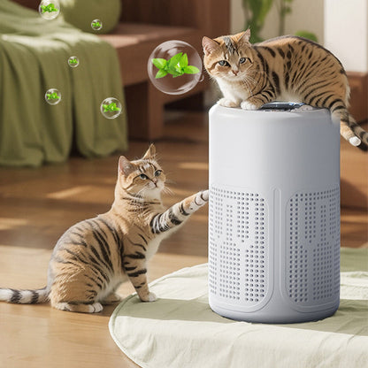 🥳 Silent Air Purifier – Multi‑layer filtration, ultra‑quiet sleep mode. Covers 30‑50m², one‑touch operation. Breathe clean, rest easy. No more sneezing at night! 🛌✨