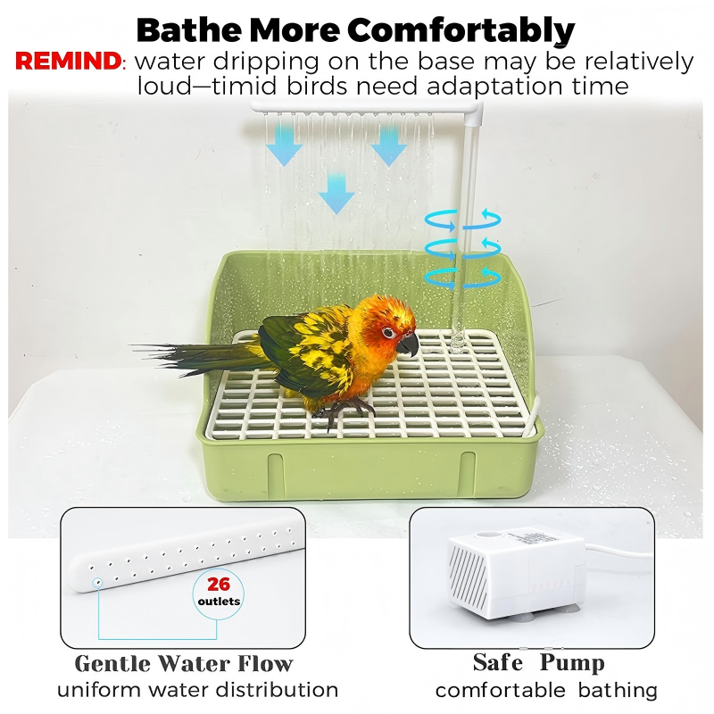 Automatic Parakeet Bird Bath with Pump