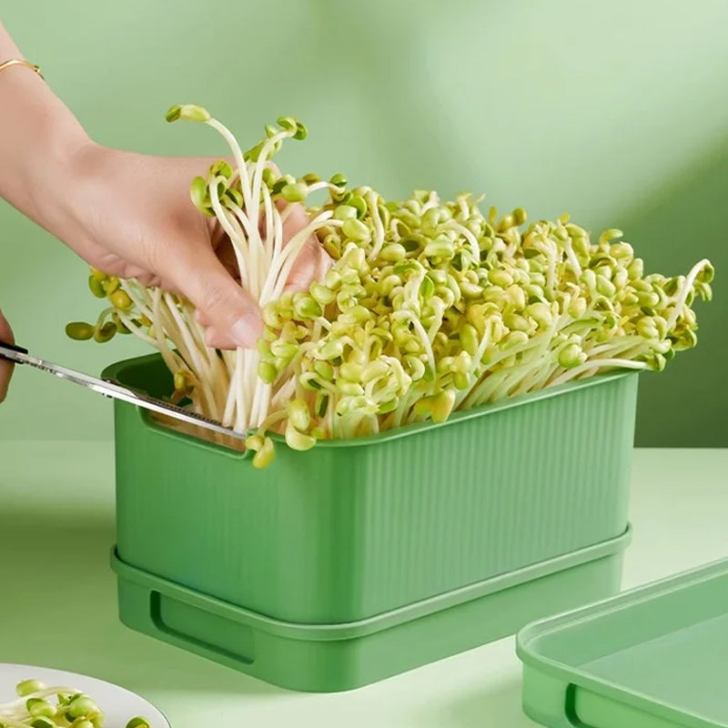🌱 Stackable Bean Sprout Grower Box with Lid