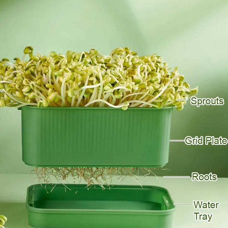 🌱 Stackable Bean Sprout Grower Box with Lid