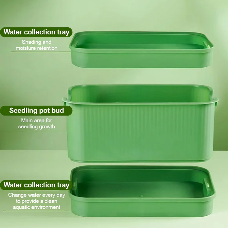 🌱 Stackable Bean Sprout Grower Box with Lid