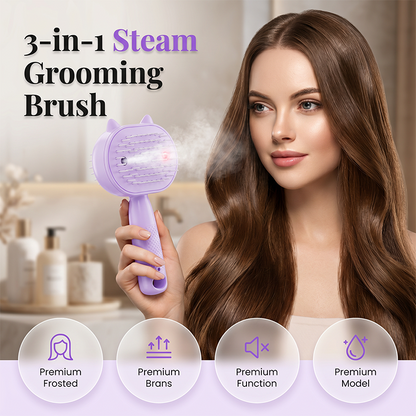 3 in 1 Electric Hair Brush