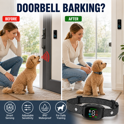 🛡️🐾 50% OFF! Anti Bark Collar – Smart anti‑false triggering filters out other barks. IP67 waterproof & USB rechargeable – worry‑free training anywhere! 💦✅