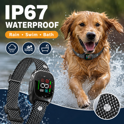 🛡️🐾 50% OFF! Anti Bark Collar – Smart anti‑false triggering filters out other barks. IP67 waterproof & USB rechargeable – worry‑free training anywhere! 💦✅