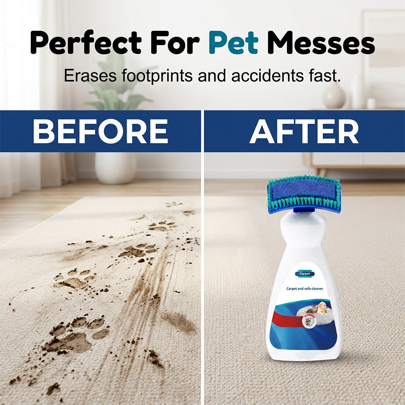 No-Wash Carpet & Sofa Cleaner with Brush