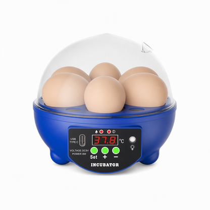 USB Automatic Egg Incubator – auto egg turning, even heat circulation, quiet & clear view. Hatch chicks, ducks & quails at home