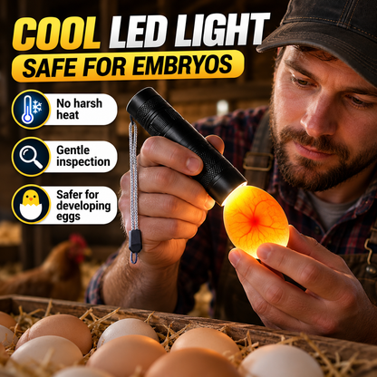 Rechargeable LED Egg Candler for Chicken and Quail Eggs